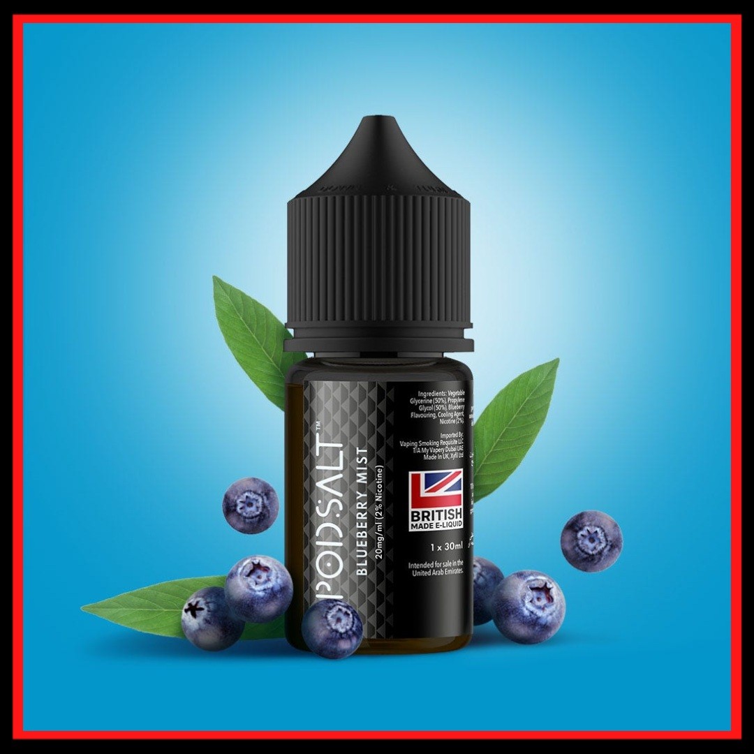 Best Pod Salt Blueberry Mist 30ml Salt Nic E-Liquid In UAE
