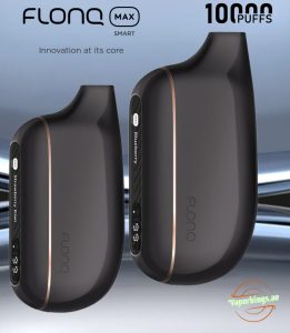Malaki Flonq Max Smart 10000