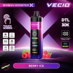 Vecig Shisha Monster X 30K- Berrry Ice
