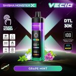 Vecig Shisha Monster X 30K- Grape Mint