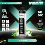 Vecig Shisha Monster X 30K- Gum Mint