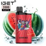 IGET Bar 3500 Puffs Disposable- Lush Ice