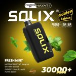 Hayati Solix 30000 Puffs Disposbale- Fresh Mint