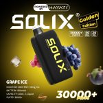 Hayati Solix 30000 Puffs Disposbale- Grape Ice