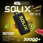 Hayati Solix 30000 Puffs Disposbale- Kiwi Passion fruit Guava