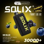 Hayati Solix 30000 Puffs Disposbale- MR Blue