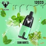 KALYAN Pro 12000 Puffs Disposable- Gum Mints