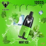KALYAN Pro 12000 Puffs Disposable- Mint Ice
