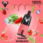 KALYAN Pro 12000 Puffs Disposable- Strawberry Watermelon Ice