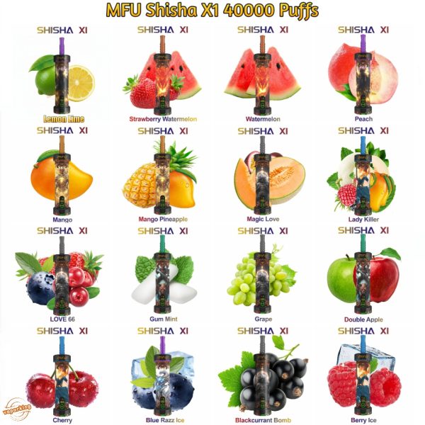 MFU SHISHA X1 40000 Puffs