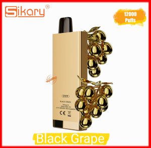 SIKARY FIT 12000 Puffs Disposable- Black Grape