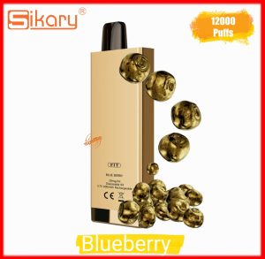 SIKARY FIT 12000 Puffs Disposable- Blueberry