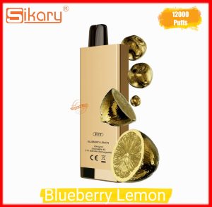 SIKARY FIT 12000 Puffs Disposable- Blueberry Lemon