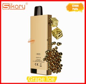 SIKARY FIT 12000 Puffs Disposable- Grape Ice