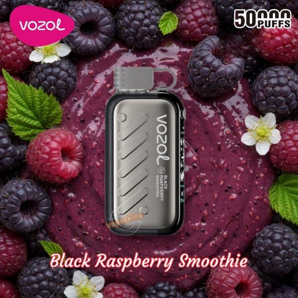 Vozol Gear Ice & Sweet 50000 Puffs- Black Raspberry Smoothie