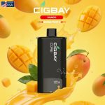 Cigbay Core 30000 Puffs Prefilled Pod- Mango