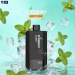 Cigbay Core 30000 Puffs Prefilled Pod- Mint