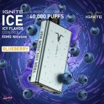 Ignite Ice 40000 Puffs Disposable- Blueberry