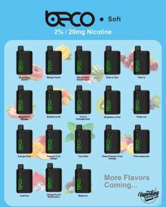 BECO Soft 6000 Puffs Disposable