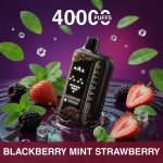 Elf Bar Raya Sobo 40000 Puffs Blackberry mint strawberry