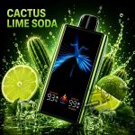 IGNITE V300 30000 Puffs Disposable Vape Cactus Lime Soda